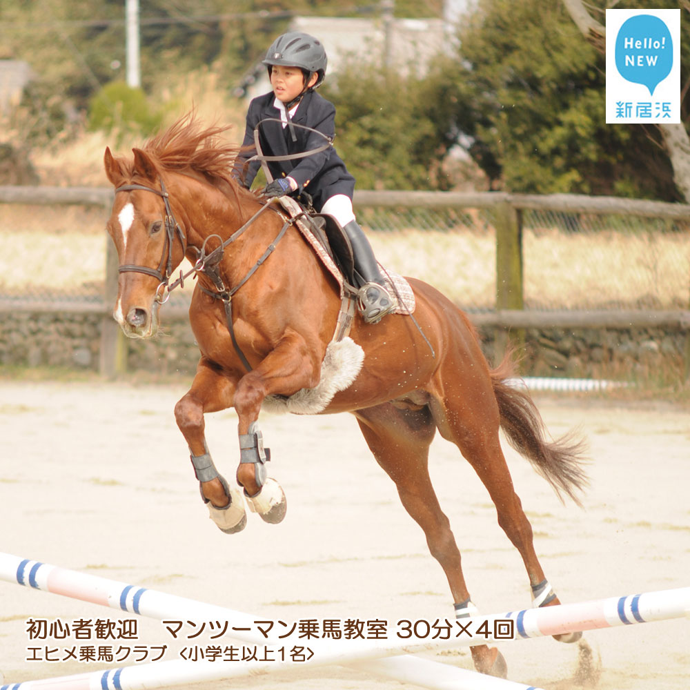 初心者歓迎　マンツーマン乗馬教室30分×4回　エヒメ乗馬クラブ（小学生以上1名）