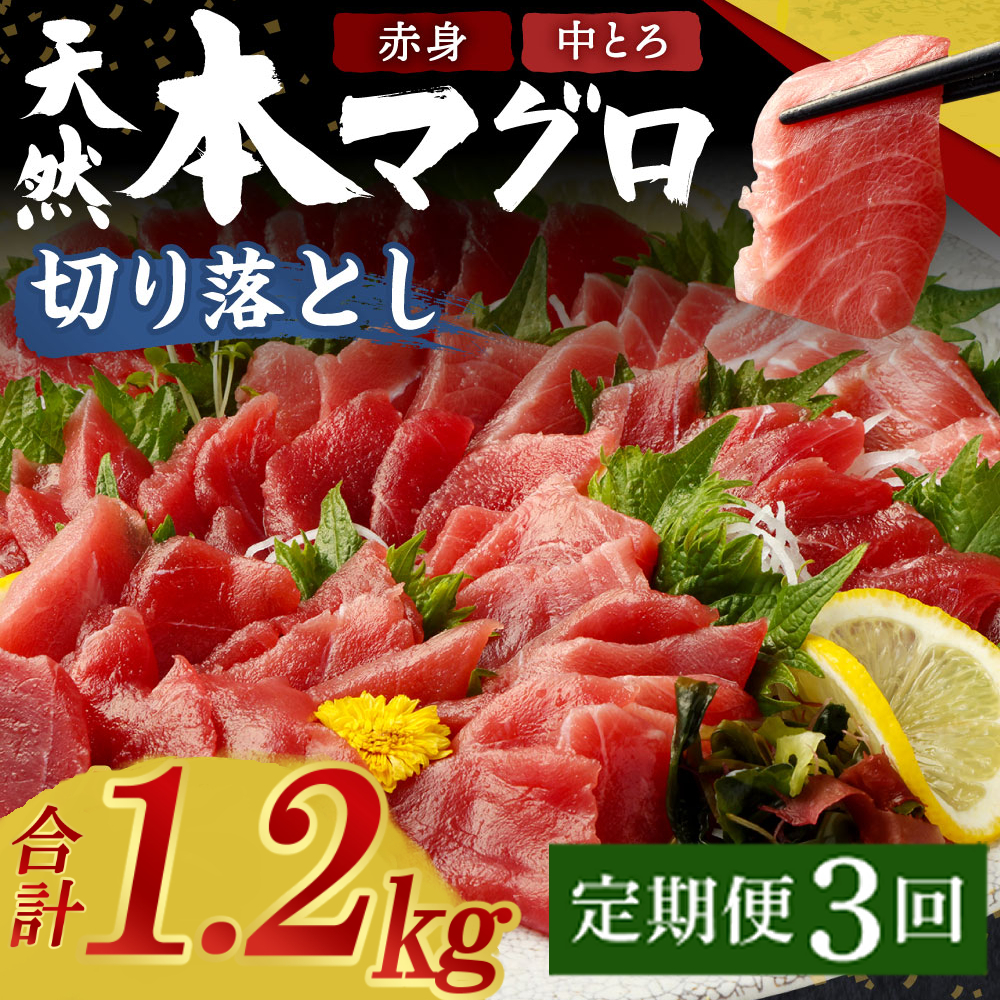 【定期便 / ３ヶ月連続】 天然本マグロ (赤身・中とろ) 切り落とし 合計1.2㎏  (100g×4パック×３回) マグロ 刺身  食べきりサイズ