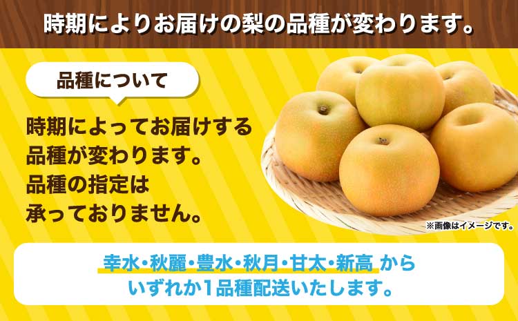 訳あり 梨 なし 秋月 幸水 豊水 新高 秋麗 甘太 和梨 お取り寄せ 濃あま梨 約1.8kg 品種おまかせ 冷蔵 国産 九州 熊本県 宇城市 小川町産 農園とフォーク青果店 2025年8月上旬から9