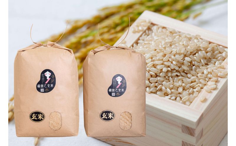 令和8年産 新米 先行予約 備前乙女米 玄米 10kg×2袋 岡山県産 | 米 お米 玄米 特A きぬむすめ 石原果樹園 【ishk042-01】