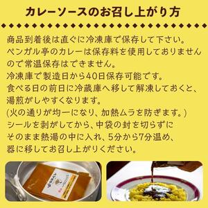 L ベンガル亭特製スパイスカレー！（スパイスソース・辛口）6袋