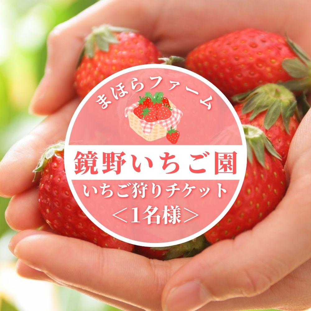 【ふるさと納税】鏡野町まほらファーム いちご狩りご招待券（1名様）【2026年2月～5月】【029-a016】