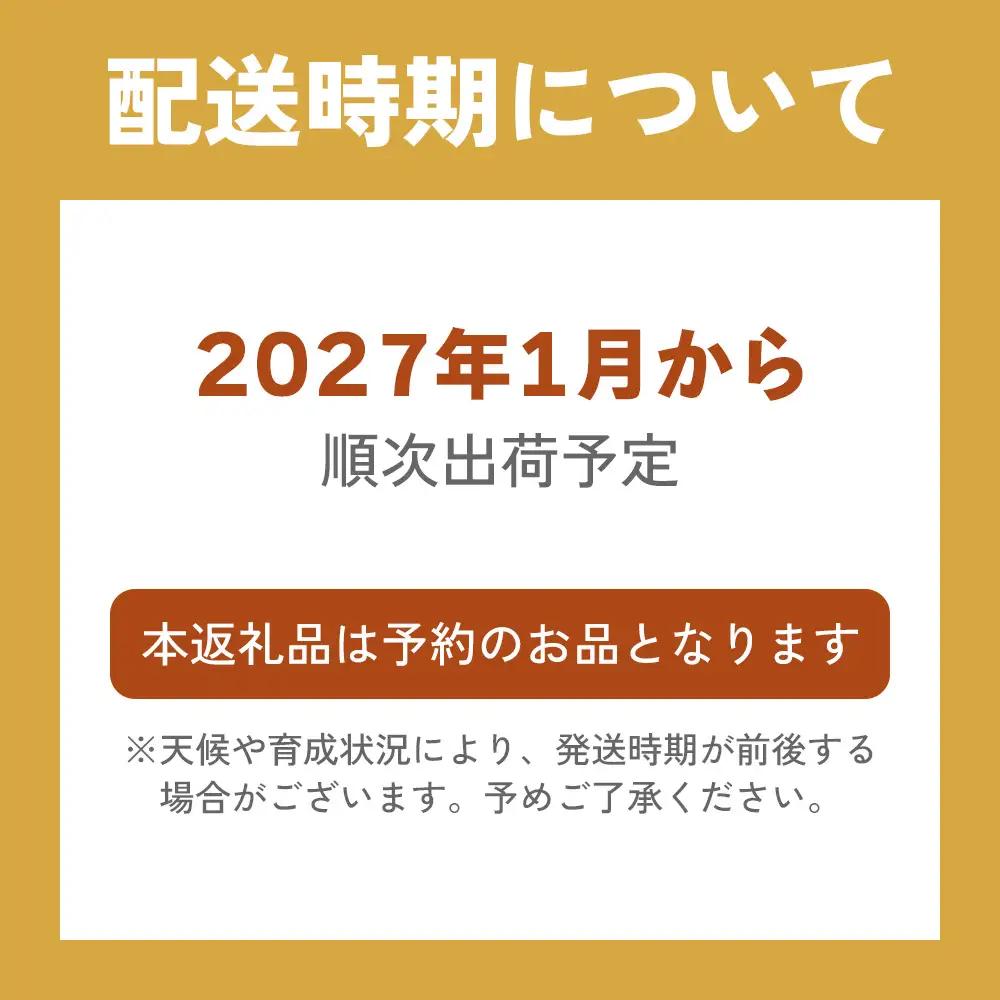 2種お楽しみ食べ比べセット「とちあいか＆スカイベリー」【2027年1月より順次発送】 [0961]