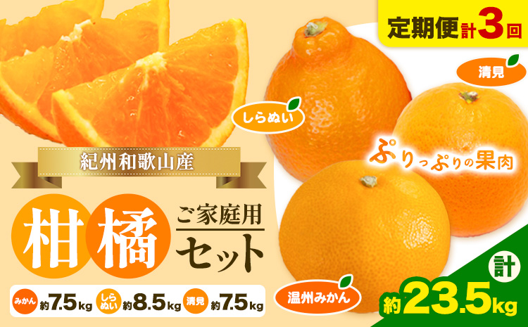 【発送月固定定期便】紀州 和歌山産 旬の ご家庭用 柑橘 セット (みかん 不知火 清見)【全３回】約23.5kg 魚鶴商店《1月上旬-3月末頃出荷予定(土日祝除く)》 和歌山県 日高町 みかん 不知火 清見 オレンジ 柑橘 蜜柑 果物 フルーツ 訳あり ギフト 送料無料 定期便（F)