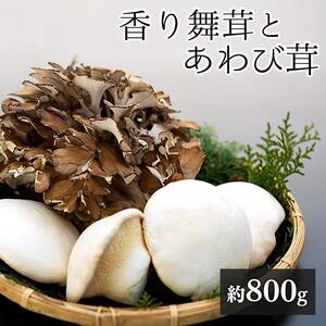 香り舞茸とあわび茸セット