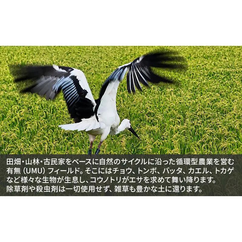 米 有無ファームこだわり米 5分づき 農薬・化学肥料不使用 米【10kg】