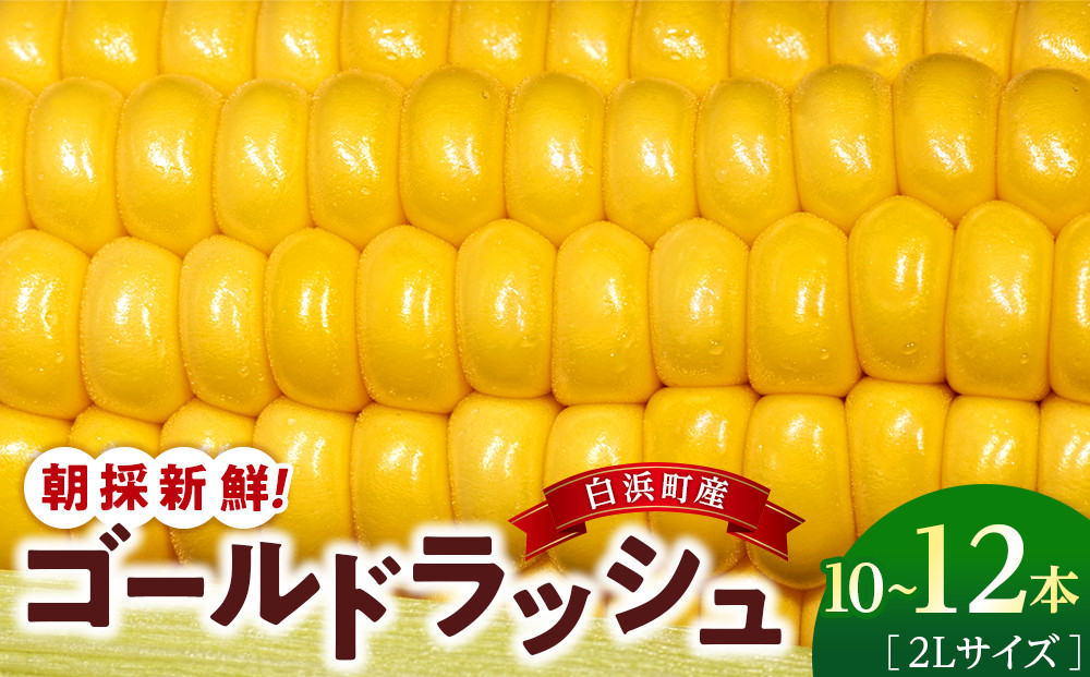 朝採 新鮮 白浜町産 ゴールドラッシュ とうもろこし 2Lサイズ 10～12本 はたごや農園 304018_ET01