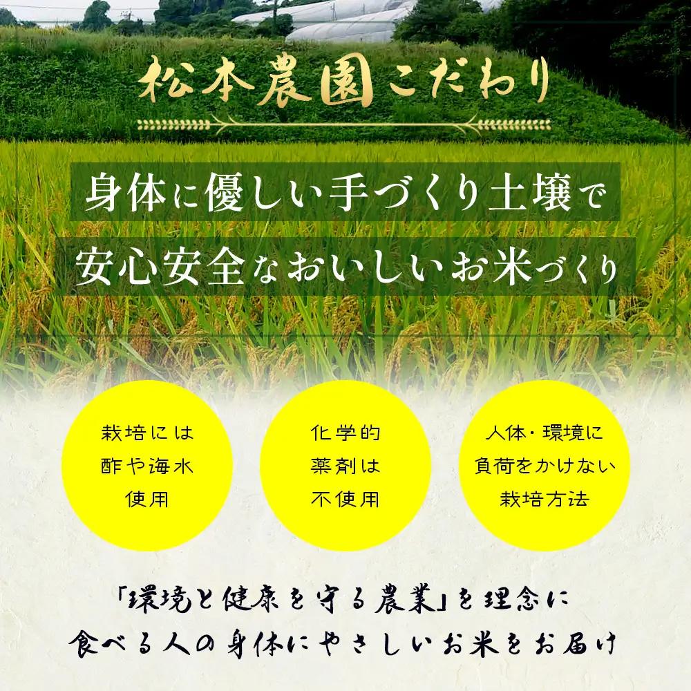 先行受付【3回定期便】令和8年産 新米 さがびより 5kg×3回 計15kg 佐賀県産 特A評価獲得品種 白米 米 お米 こめ 毎月お届け 定期便 佐賀県 鹿島市 F-102
