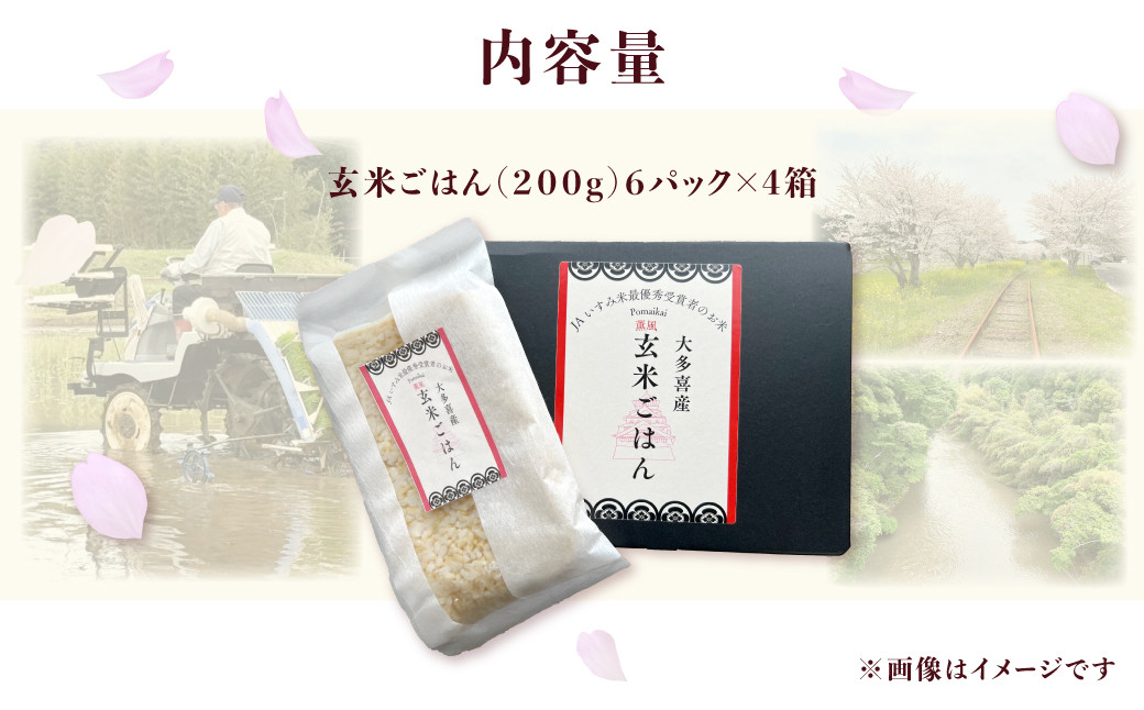 【KP04701】玄米ごはん２００g×２４　ふるさと納税 米 こめ コメ ごはん ご飯 コシヒカリ 玄米 200g 6パック セット 4箱 計24個 長期保存 常温 無添加 お弁当 キャンプ 備蓄 非