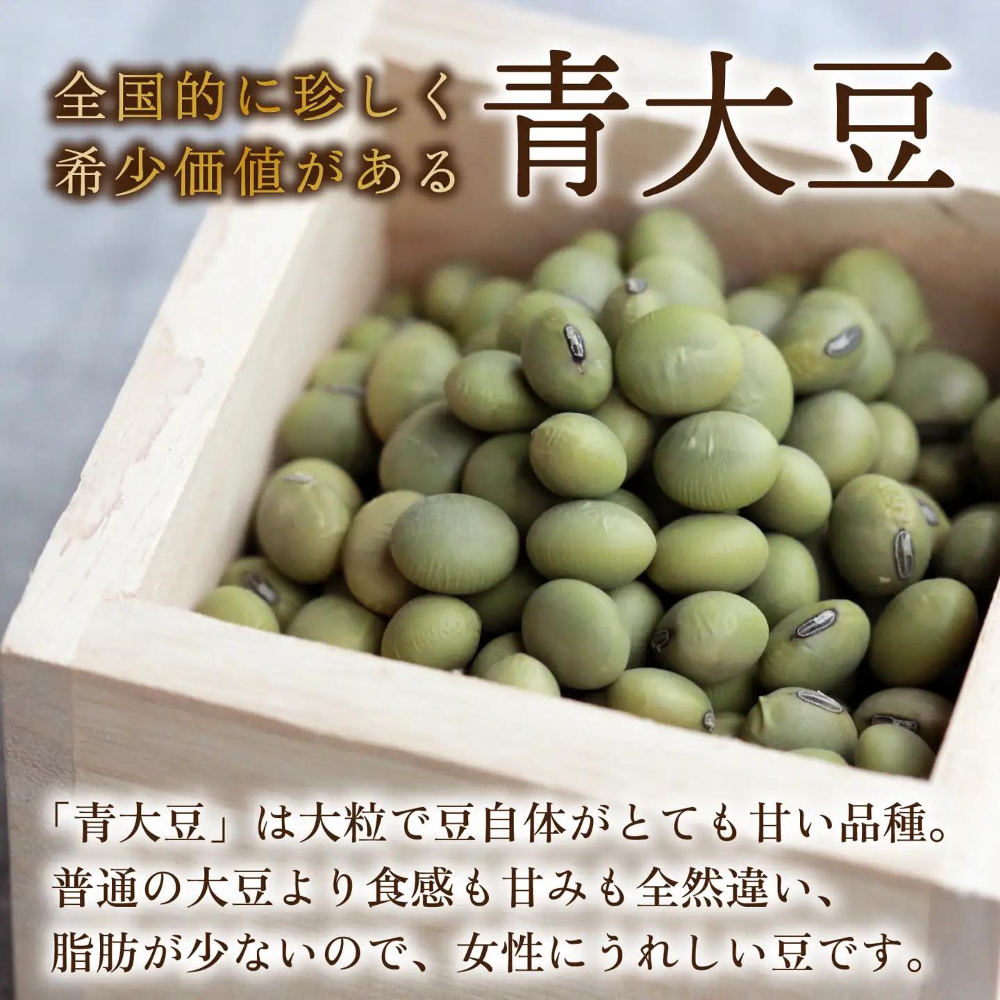 青大豆 赤大豆 厳選大粒豆セット 計2kg