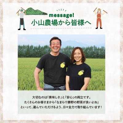 ふるさと納税 芽室町 【先行受付2026年5月中旬より順次発送】北海道芽室町 春掘り美肌ごぼう【ユキシズク】L5kg |  | 02