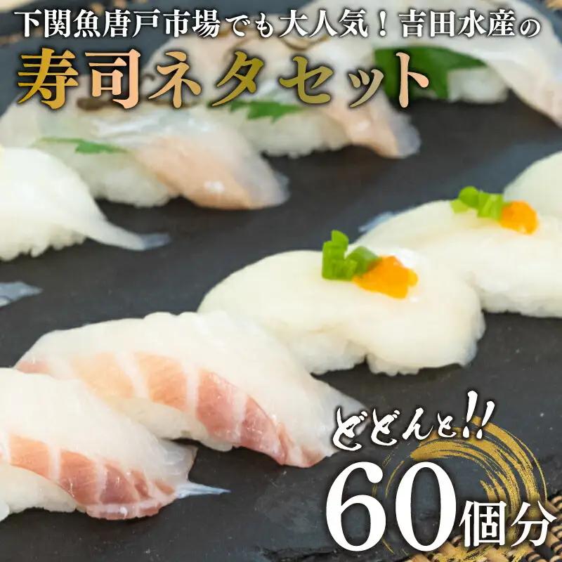 【寿司ネタ】鯛 ふぐ ヒラメ 鯛 冷凍 60貫 寿司 BV