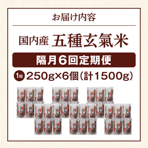 【隔月6回　定期便】国内産 五種玄氣米 250g×6個 1500g×6回_国内産 五種玄氣米 250g×6個 お届け回数 6回 玄米 ブレンド 雑穀米 もち赤米 うるち玄米 もち玄米 もち黒米 もち緑