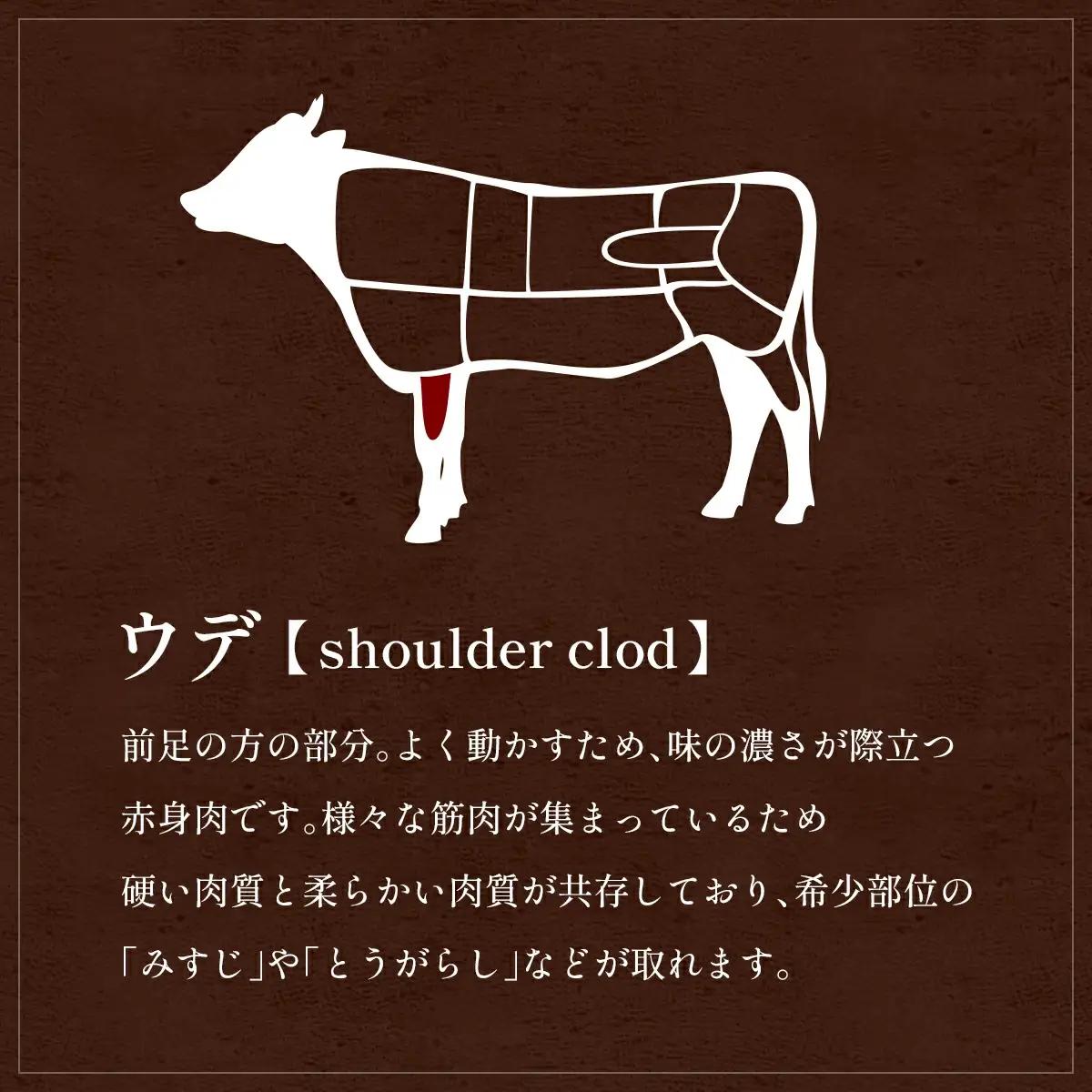 【和牛セレブ】能登牛 牛肩(うで)  500g　wa111　すき焼き