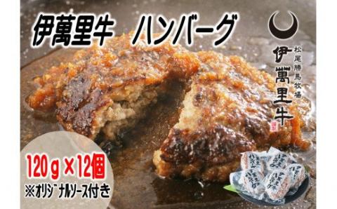 【ご当地グルメ 殿堂入り】 伊万里牛100% ハンバーグ 12個 J461