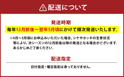 【活加工】剥きほっき（刺身用）1kg（20玉前後）×1袋 【6月上旬～11月上旬発送不可】 ほっき ほっき貝 ホッキ ホッキ貝 北寄 北寄貝