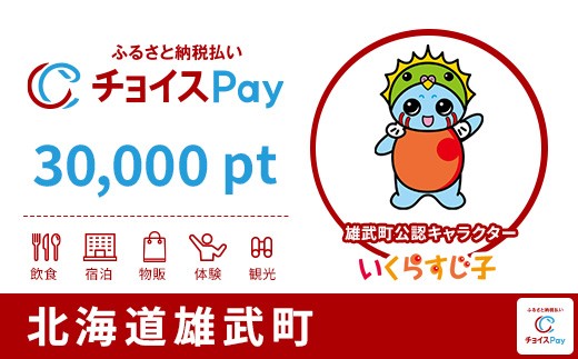 
                  雄武町チョイスPay 30,000pt【会員限定のお礼の品】
                