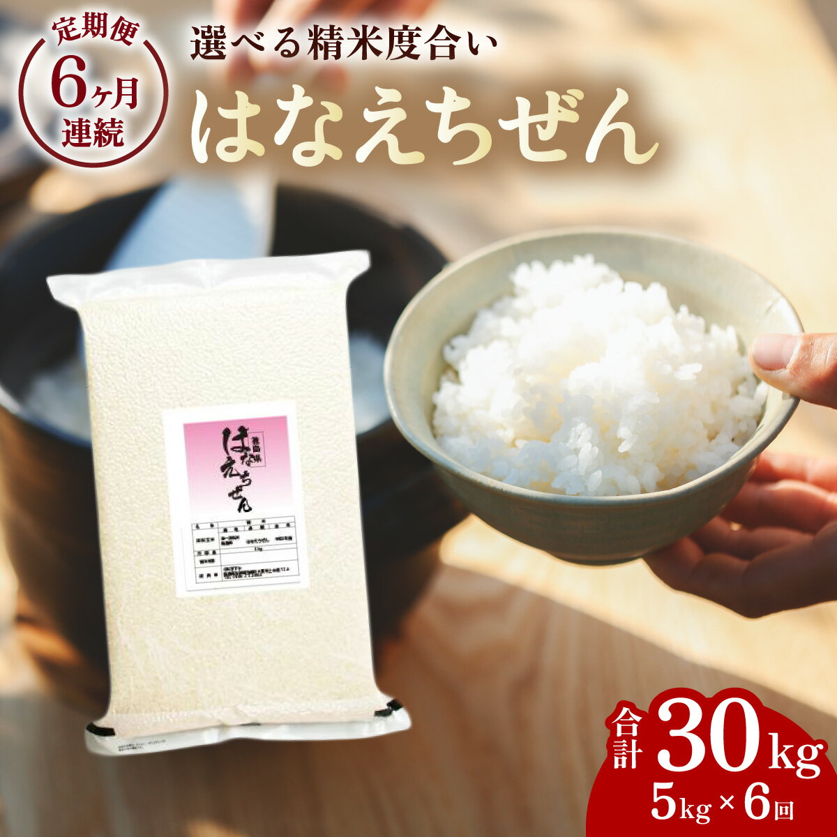 【ふるさと納税】先行予約 はなえちぜん 白米 5kg×6回 6ヶ月連続 定期便 30kg 真空パック ハナエチゼン 米 簡易梱包 エコ梱包【2024年8月下旬以降順次お届け】