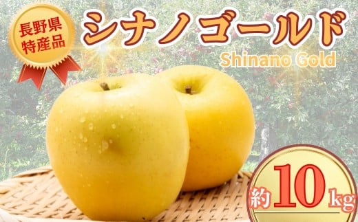 【2025年先行予約】りんご シナノゴールド 約10kg りんご三兄弟 三男｜ 果物 フルーツ リンゴ 林檎 シナノゴールド 千曲市 長野県 信州