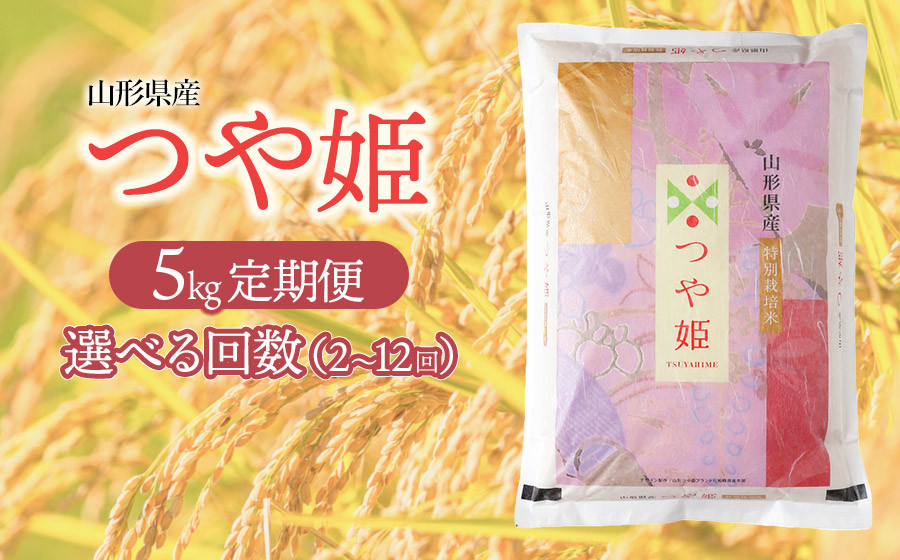 
            【選べる定期便】つや姫　精米5kg（2～12ヶ月）　庄内観光物産館
          