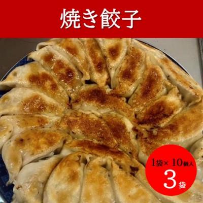 ふるさと納税 かほく市 本格手作り 冷凍餃子セット(10個入×3袋 計 30個) | 
