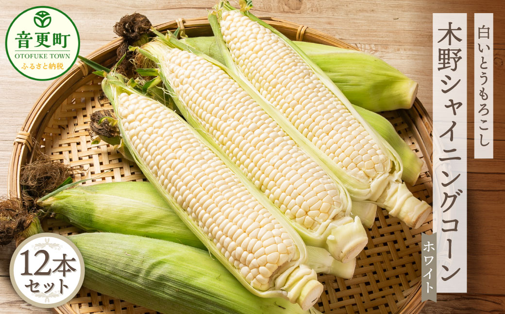 ［先行受付］北海道十勝産 木野シャイニングコーン12本セット【A15】2026年8月中旬頃より順次発送