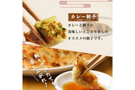 博多骨折り餃子とカレー餃子(合計100個・餃子50個＋カレー餃子50個)冷凍 一口 ひとくち ぎょうざ ギョウザ 手作り 国産 焼くだけ 簡単 タレ付き＜離島配送不可＞【ksg0540-C】【骨折り餃