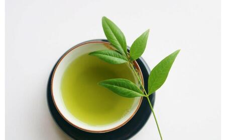 八女茶　【上】煎茶セット　100g×2袋