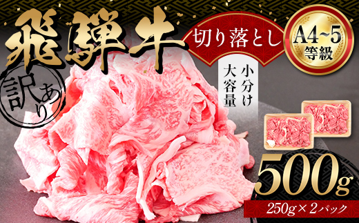 A4等級以上 飛騨牛 焼肉 切り落とし 250g × 2 計 500g 牛肉 ブランド牛 肉 切落し わけあり ぎゅうにく にく ひだぎゅう ひだうし 訳あり 商品 ワケアリ 不揃い 大容量 切り落と