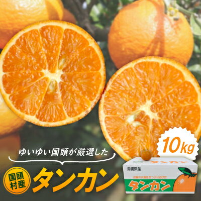 【ふるさと納税】【2027年1月から順次発送】国頭村産 タンカン 10kg やんばるの人気柑橘 濃厚な甘みとコク【1651882】