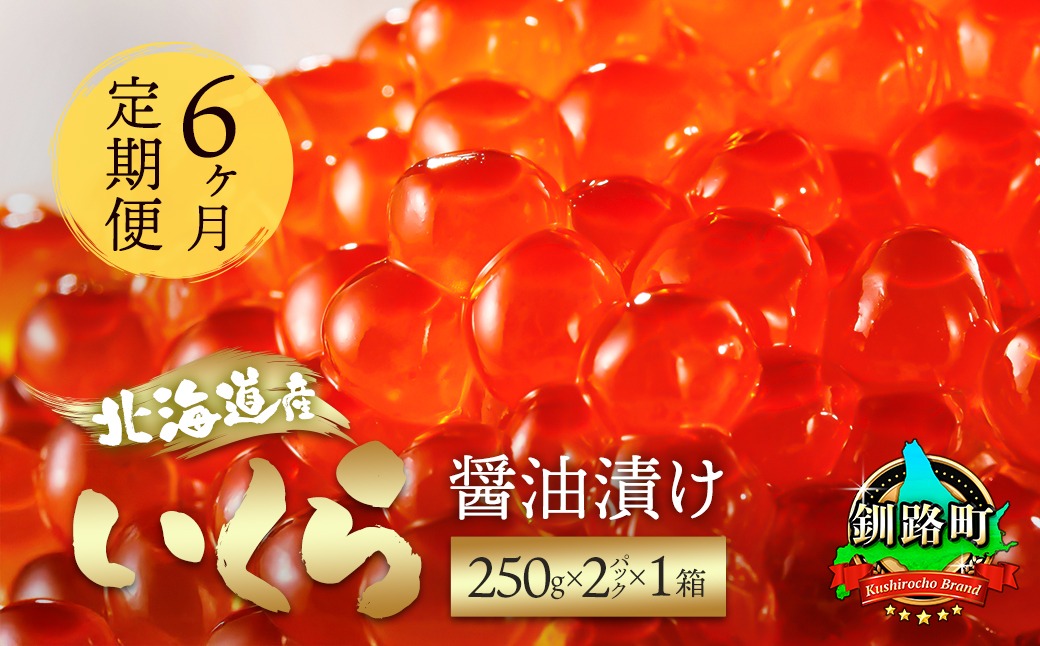 【定期便 6ヶ月連続】北海道産 いくら醤油漬け 500g（250g ×2パック×1箱） 小分け　| 国産 北海道産 いくら いくら醤油漬け イクラ ikura 天然 鮭 サーモン 鮭卵 鮭いくら 北海道 昆布のまち 釧路町 笹谷商店 直営 釧之助本店 人気の 訳あり！ 子どもの日 母の日 父親の日 ご飯 米 無洗米 にも最適　121-1920-432-184