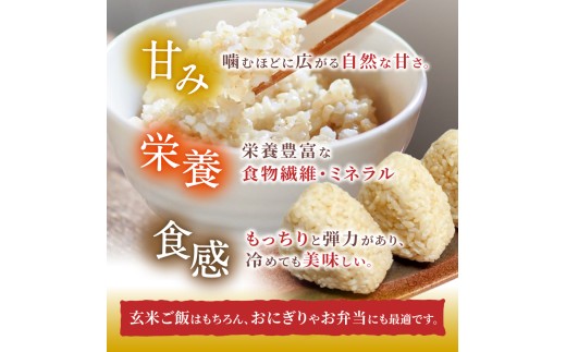 先行予約 ※3ヶ月定期便※ 葛城山麓米 ヒノヒカリ（玄米）10kg ×3ヶ月 令和8年産 【2026年11月・12月・1月発送】／ 奈良 葛城 山麓米 産地直送 米 お米 新米 こめ 国産 甘い 美味