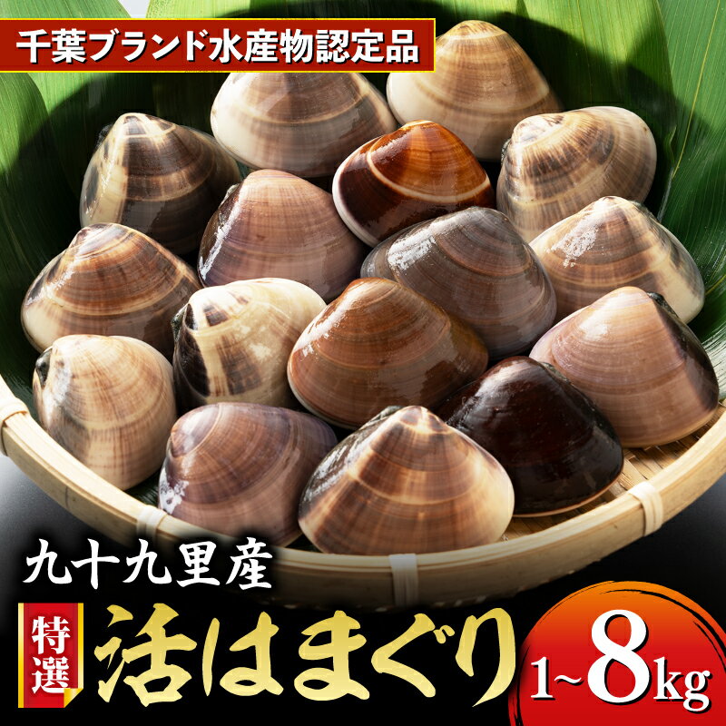 ≪千葉ブランド水産物認定品≫九十九里産活けはまぐり 約1.6kg/17～22個【配送不可地域：離島】