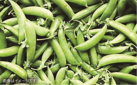 朝採れ！糸島野菜セット（10品前後） 《糸島》【オーガニックナガミツファーム】 [AGE003] 野菜セット 野菜 やさい サラダ 詰め合わせ トマト とまと
