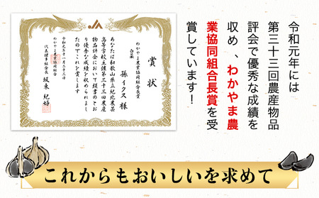 【先行予約】桃 もも 孫さんの桃(なつっこ・川中島白桃)約2.5kg(6~8玉) イクス産業《7月上旬-8月中旬頃より出荷予定》 和歌山県 紀の川市