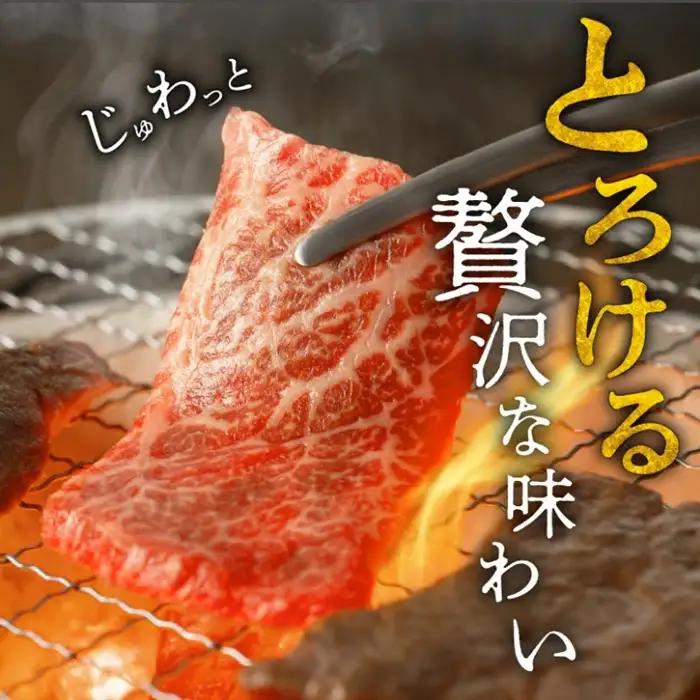 松阪牛焼肉 500g [ 松阪牛 ] / 3-7