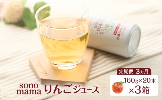 《 定期便 3ヵ月 》 りんごジュース「sonomama」（160g×20本）×3箱 りんご リンゴ ジュース リンゴジュース 飲料