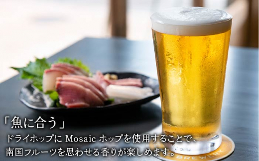 【全12回 定期便 】クラフトビール 地ビール IPA 6本 【ISLAND BREWERY】 《 壱岐市 》[JED014] 180000 180000円 