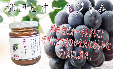 遠州の果物、野菜加工品詰合せ（柿２本）