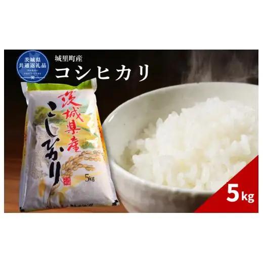 コシヒカリ 5kg（茨城県共通返礼品・城里町産） / 米 こめ コメ お米 おこめ コシヒカリ こしひかり 白米 精米 ごはん ご飯 令和7年産 5kg 茨城県 城里町 利根町