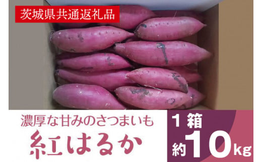 濃厚な甘みさつまいも 紅はるか10kg（茨城県共通返礼品・行方市産）(AK102)