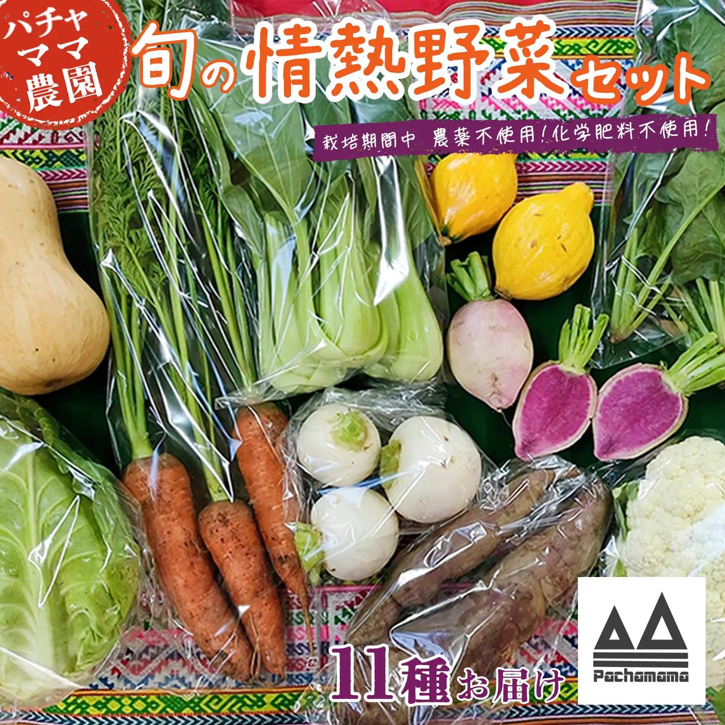 野菜 無農薬 農園自慢の情熱野菜セット 11種