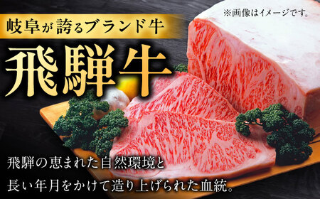 飛騨牛 すきやき しゃぶしゃぶ 500g ロース（肩ロース） 5等級 A5 贅沢三昧定期便　全３回