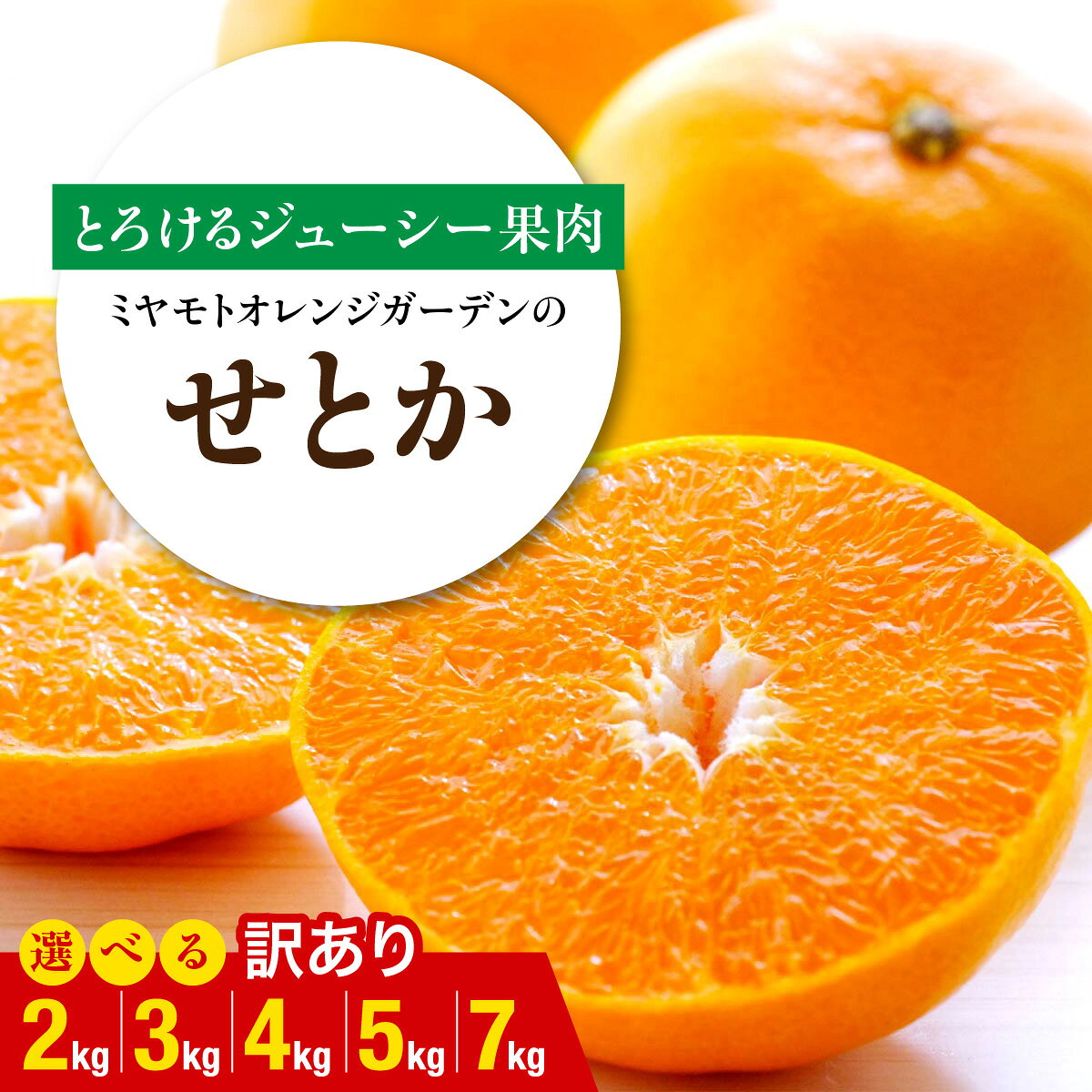 【ふるさと納税】【先行受付】 とろける濃厚柑橘 せとか 選べる内容量 (2kg / 3kg / 4kg / 5kg / 7kg ) 愛媛県八幡浜産【訳あり】【E25-134】みかん ミカン 蜜柑 せとか 訳あり 果物 くだもの フルーツ デザート おいしい 柑橘 愛媛県 八幡浜市 【G1128816】 YWTAP077