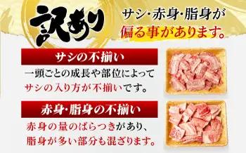 【12回定期便】【訳あり】A4-A5 長崎和牛 焼肉切り落とし 500g×2(肩ロース/バラ) [DBS048] 訳アリ 牛肉 肩ロース バラ