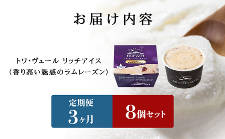【定期便3ヶ月】リッチアイスクリーム 香り高い魅惑のラムレーズン　8個セット（100ml）