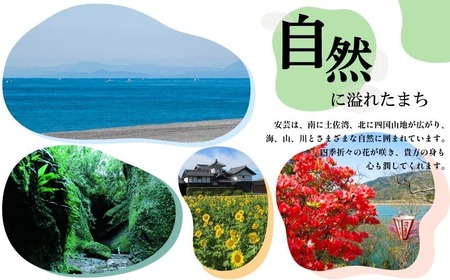 定期便/計4回 安芸野菜（6、7種）【野菜】