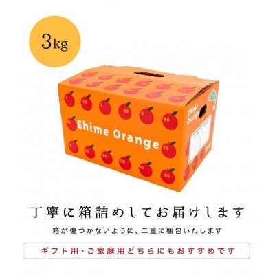 【糖度11度以上 酸1.0以下 糖酸選別品】小玉 愛媛みかん 3kg【C20−57】【1595877】