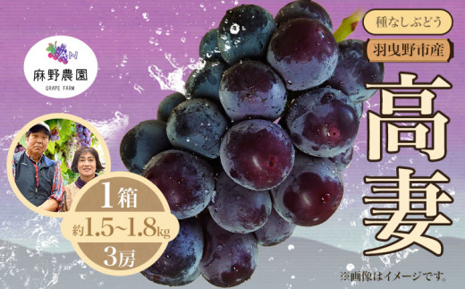 【2026年先行予約】高妻 (種なしぶどう) 約1.5~1.8kg (3房) 麻野農園《2026年8月上旬-8月中旬頃出荷》大阪府 羽曳野市 ぶどう 果物 フルーツ 葡萄
