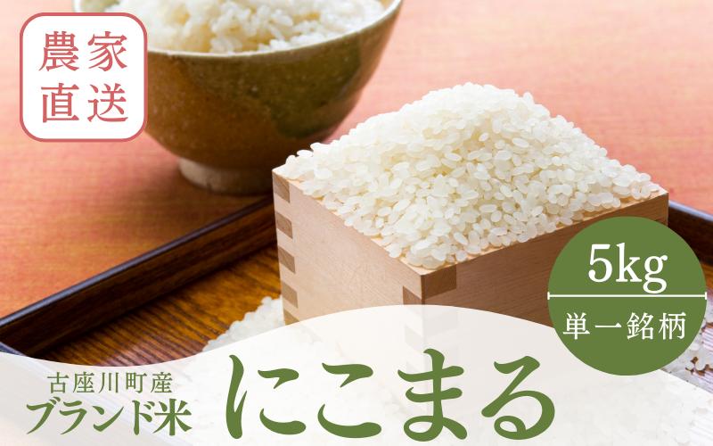 
秘境の地からお届けする あゆみファームのお米 にこまる 5kg【2024年10月下旬頃から順次発送】/ 米 お米 にこまる 5kg 精米 和歌山【aym013】
